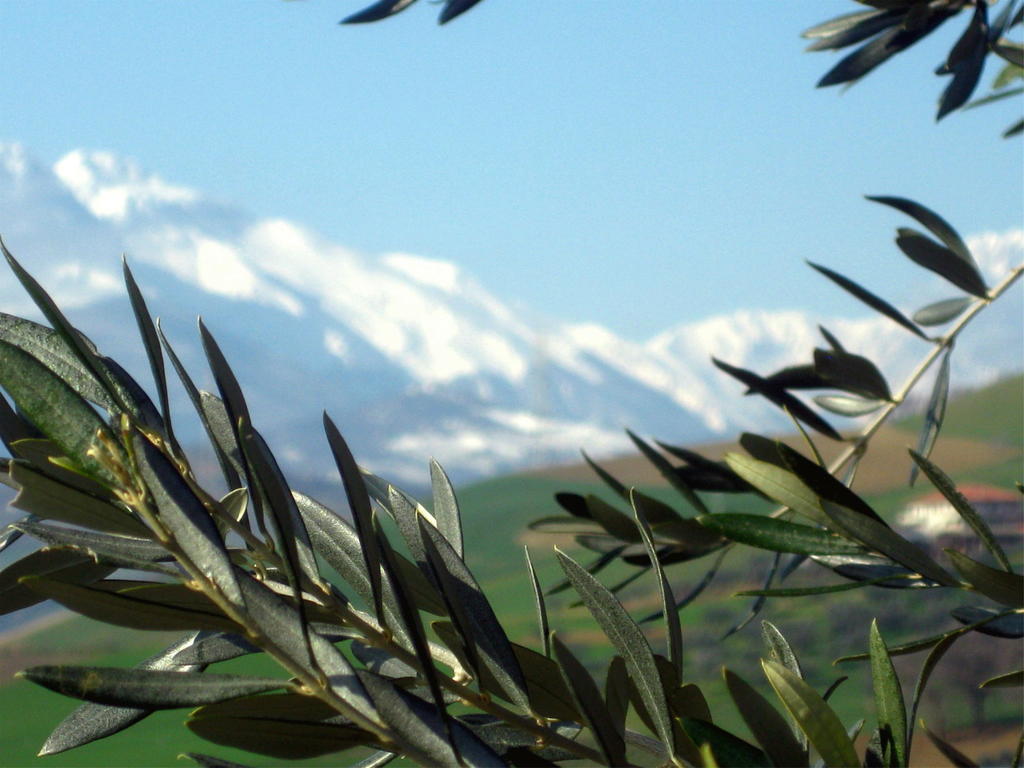 Agriturismo Cignale Penne Eksteriør bilde