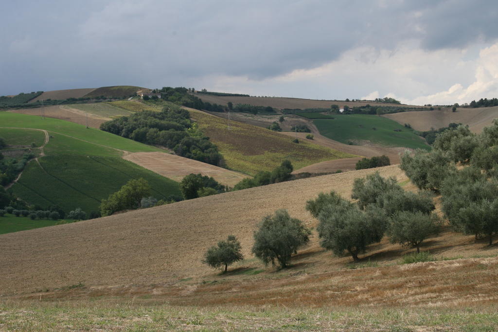 Agriturismo Cignale Penne Eksteriør bilde