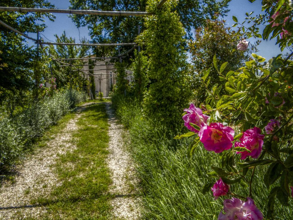 Agriturismo Cignale Penne Eksteriør bilde