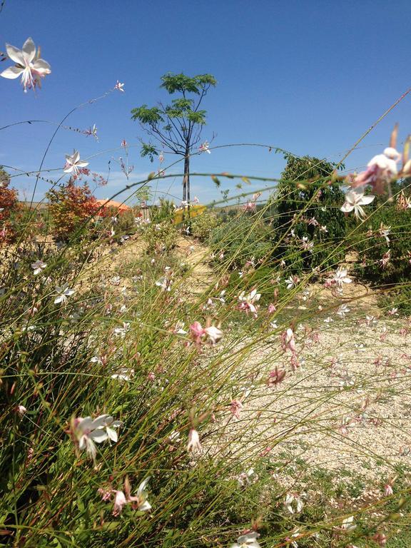 Agriturismo Cignale Penne Eksteriør bilde