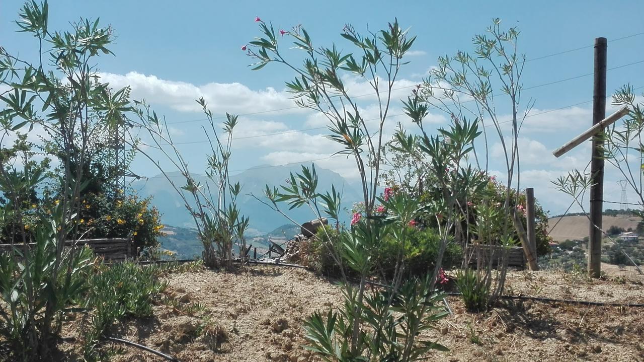 Agriturismo Cignale Penne Eksteriør bilde